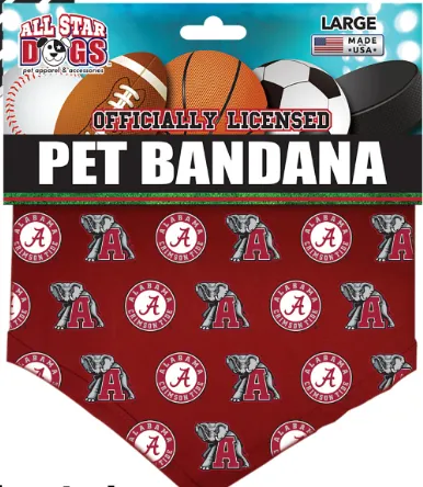 All Star Collegiate Dog Bandana