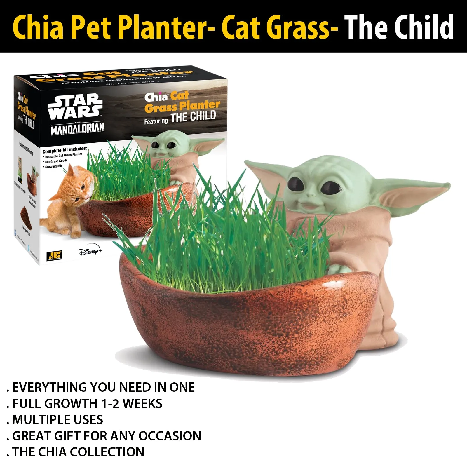 Chia Pet Planter - Star Wars The Child Cat Grass