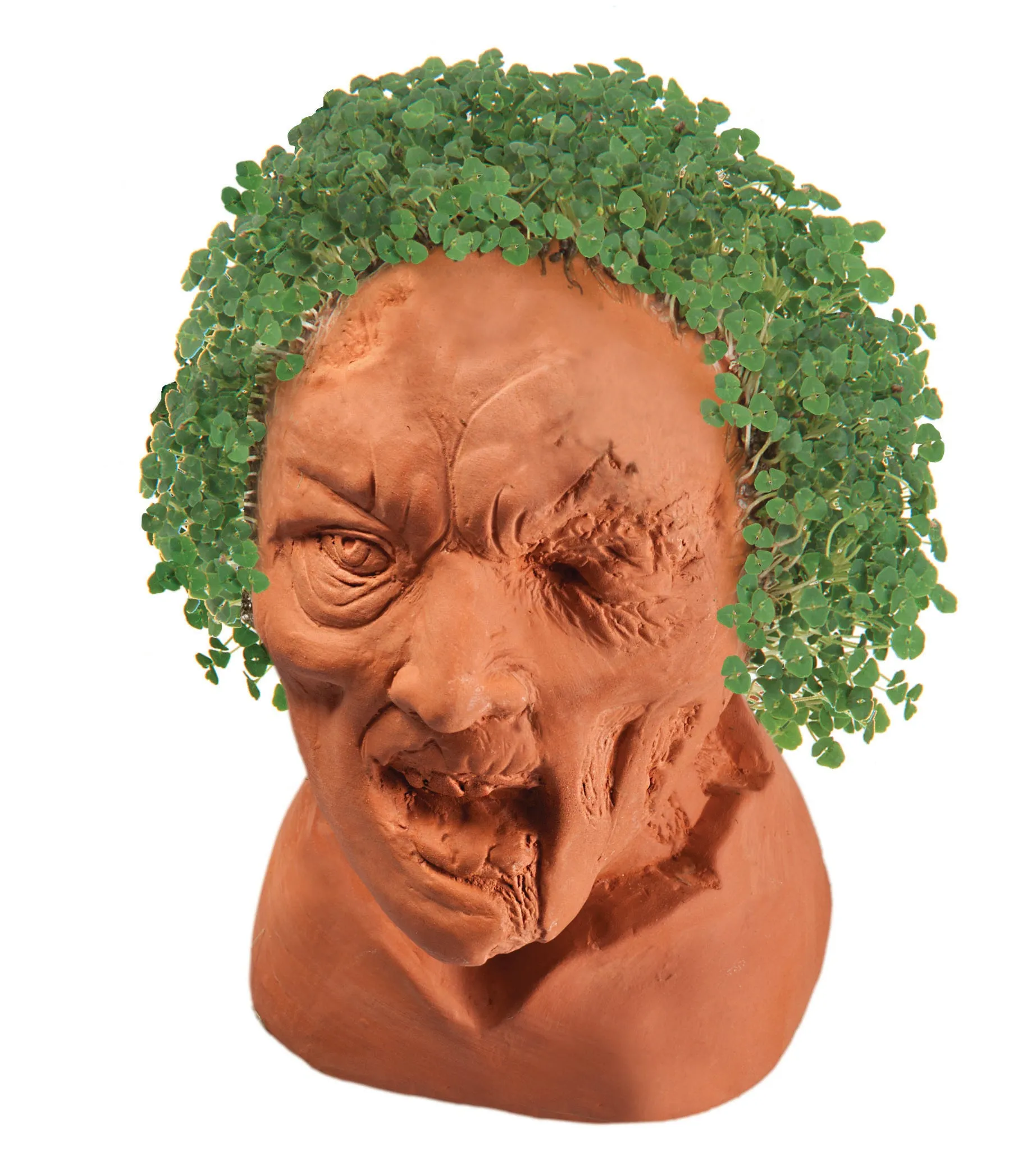 Chia Pet Planter - Zombie - Creepy Holden