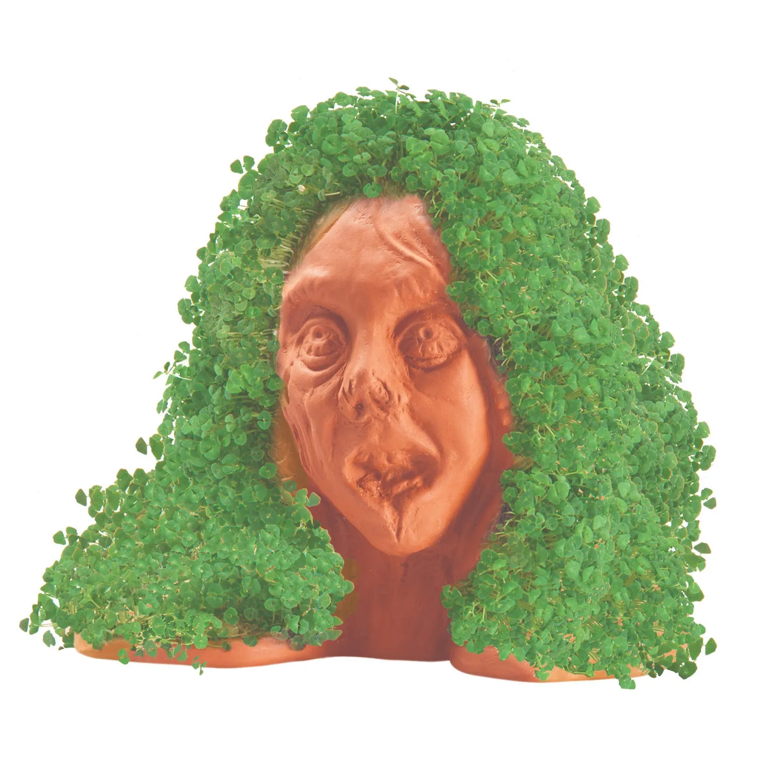 Chia Pet Planter - Zombie - Lifeless Lisa