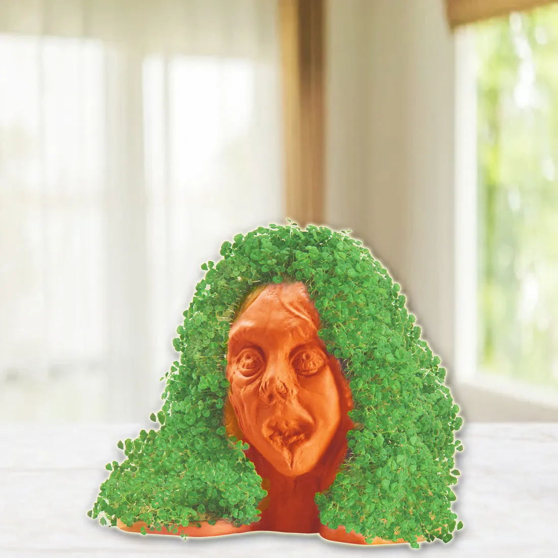 Chia Pet Planter - Zombie - Lifeless Lisa