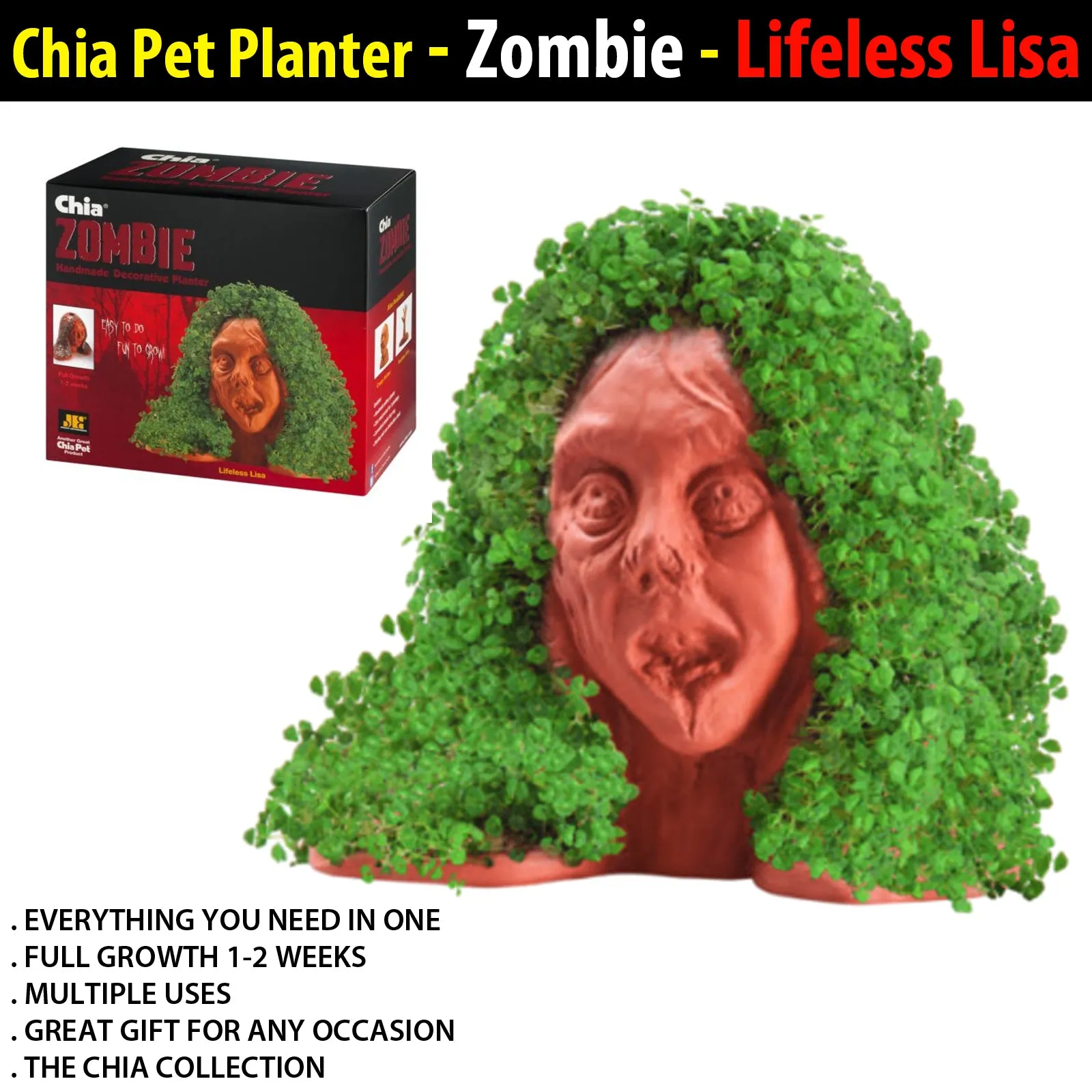 Chia Pet Planter - Zombie - Lifeless Lisa