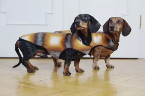 Dachshund coat Hundertwasser