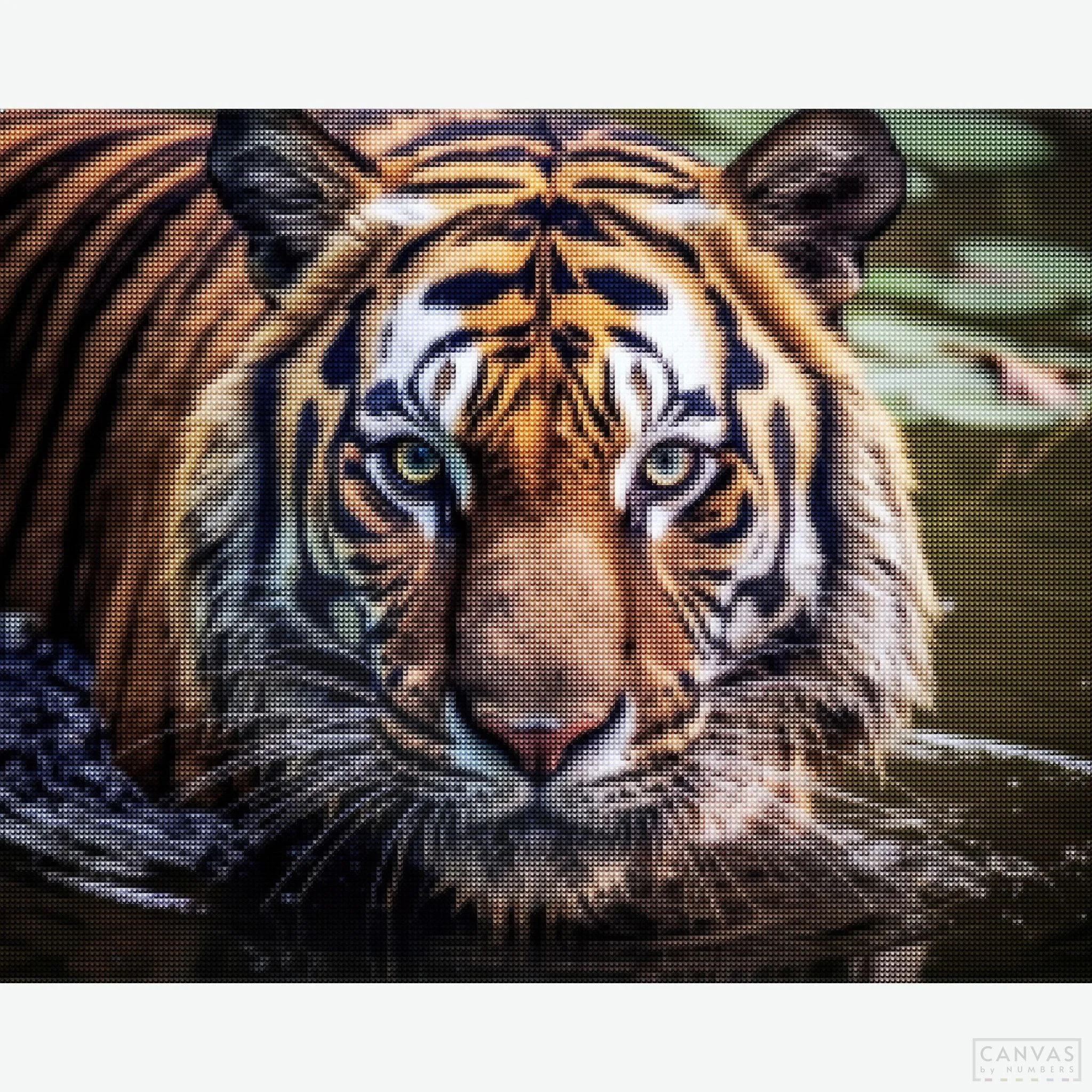 Gaze of the Wild - Tiger Diamond Painting