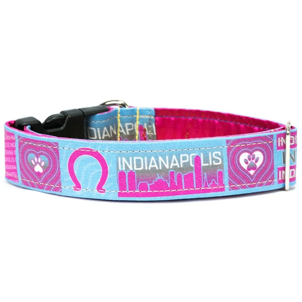 Indianapolis Pink HomeDog