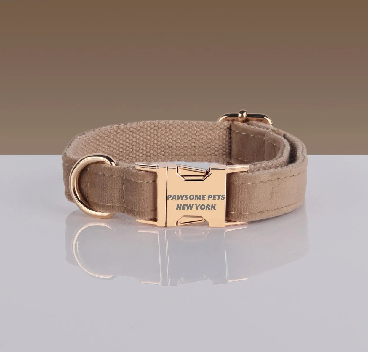 PAWSOME DOG COLLAR - #8