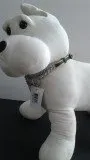 Pet Pro Adjustable Nylon/Choke Chain SALE