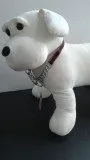 Pet Pro Adjustable Nylon/Choke Chain SALE