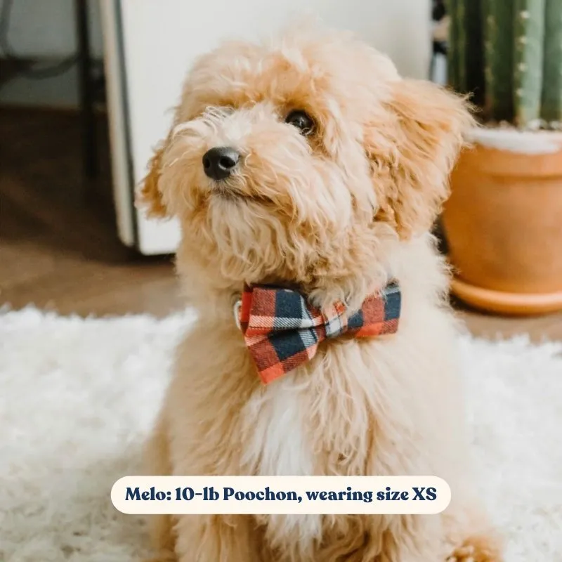 Red Plaid Bowtie Unbreakable Collar™ & Leash Set