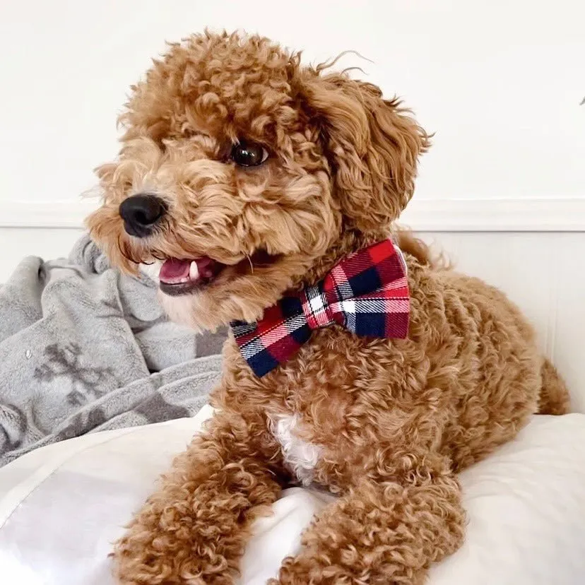 Red Plaid Bowtie Unbreakable Collar™ & Leash Set