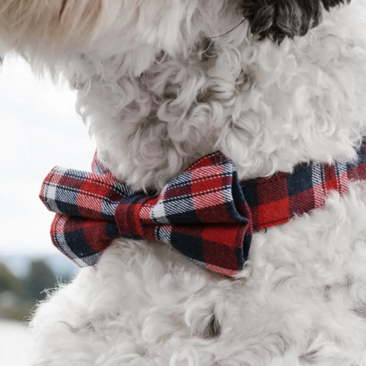 Red Plaid Bowtie Unbreakable Collar™ & Leash Set