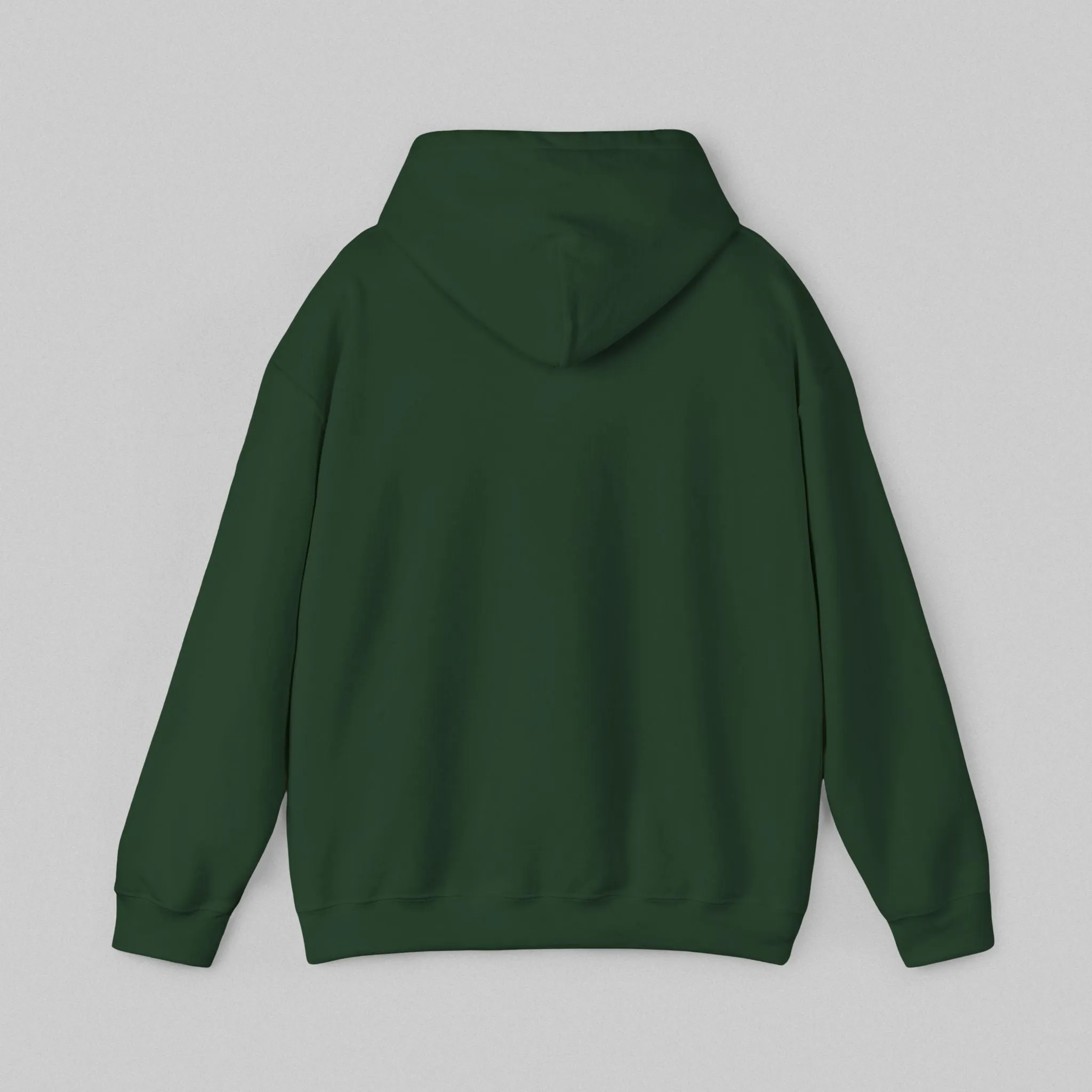 Walk by Faith, Not by Sight Hoodie
